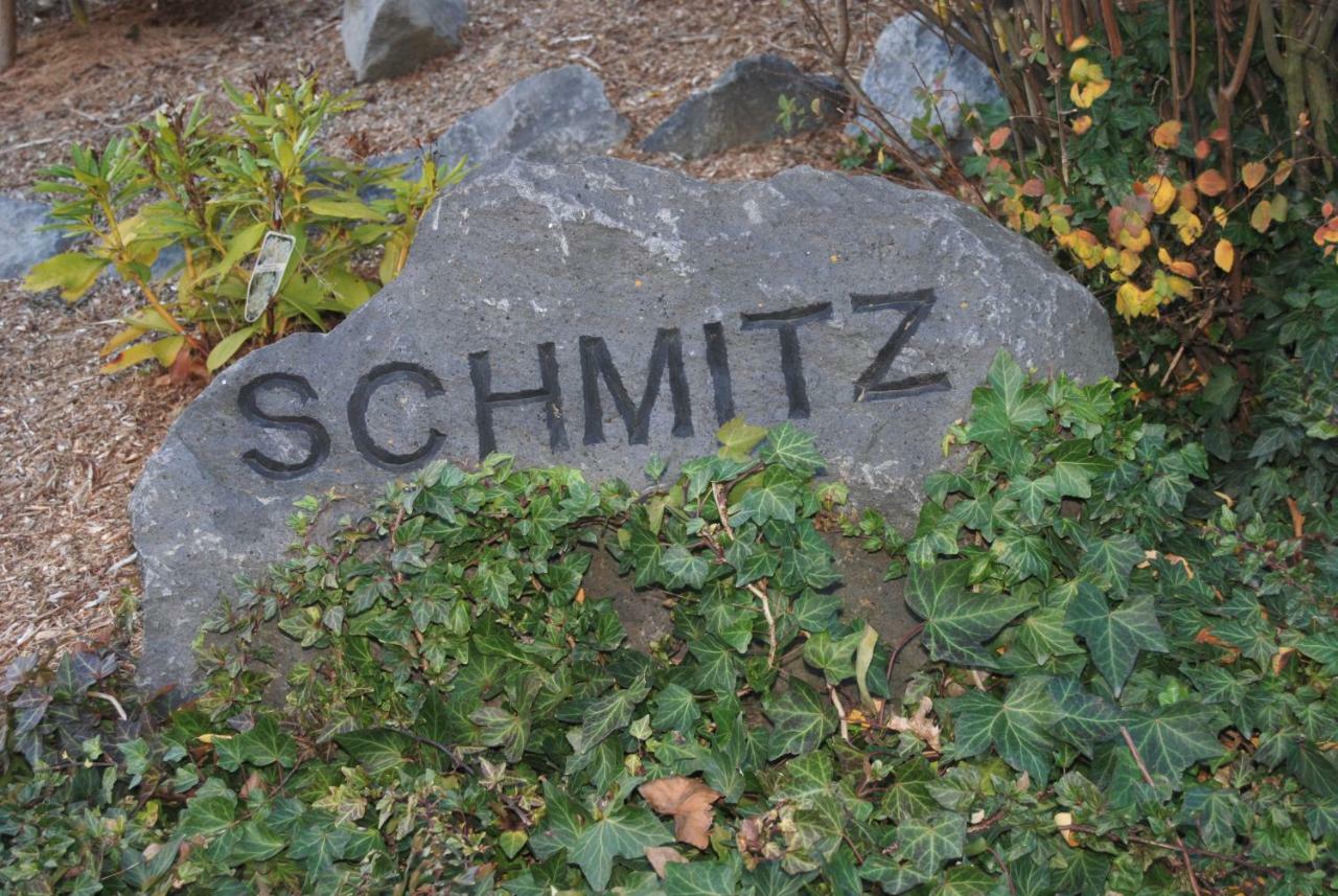 Ferienwohnung Schmitz Anschau Экстерьер фото